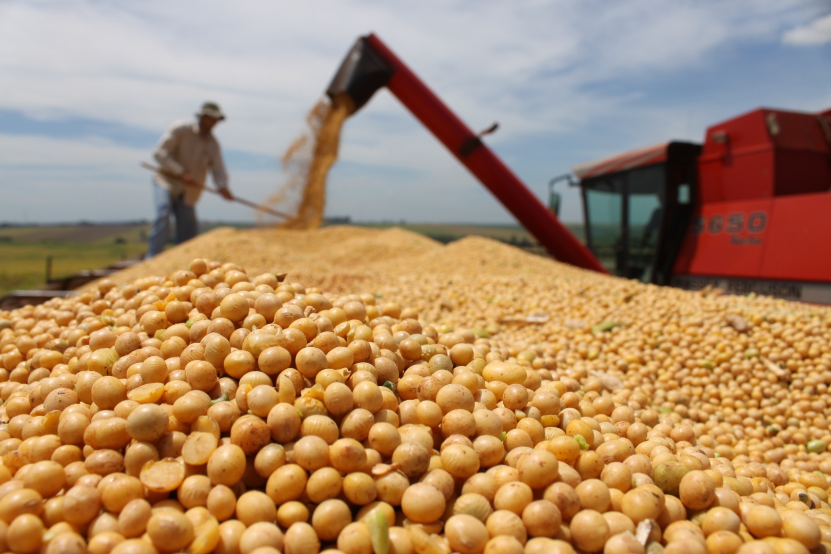 PROCESSO DE BENEFICIAMENTO DOS ALIMENTOS